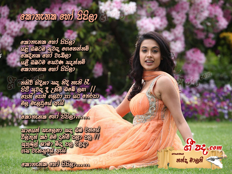 Download Kothanaka ho pipila Nanda Malani lyrics