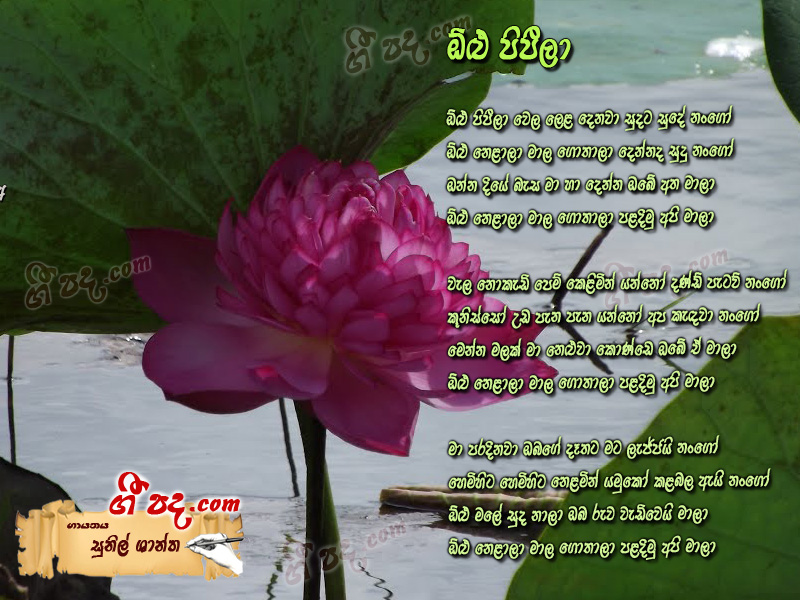 Download Olu Pipila Sunil Shantha lyrics