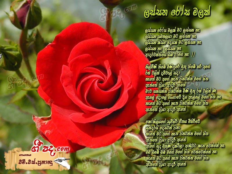Download Lassana Rosa Malak M S Fernando lyrics