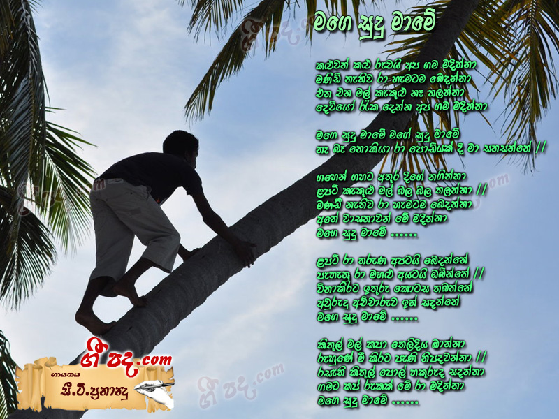 Download Mage Sudu Mame C T Fernando lyrics