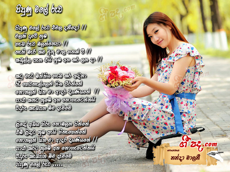 Download Pipunu Male Ruwa Nanda Malani lyrics