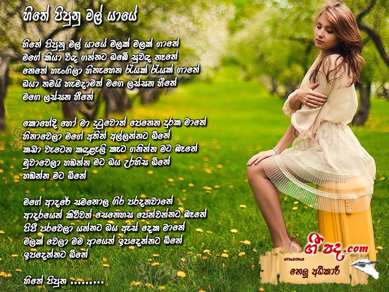 Download Hithe Pipunu Malyaye Nelu Adhikari lyrics