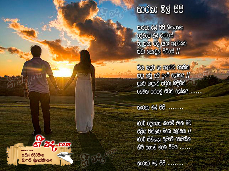 Download Tharaka Mal Pipi Sunil Edirisinghe lyrics