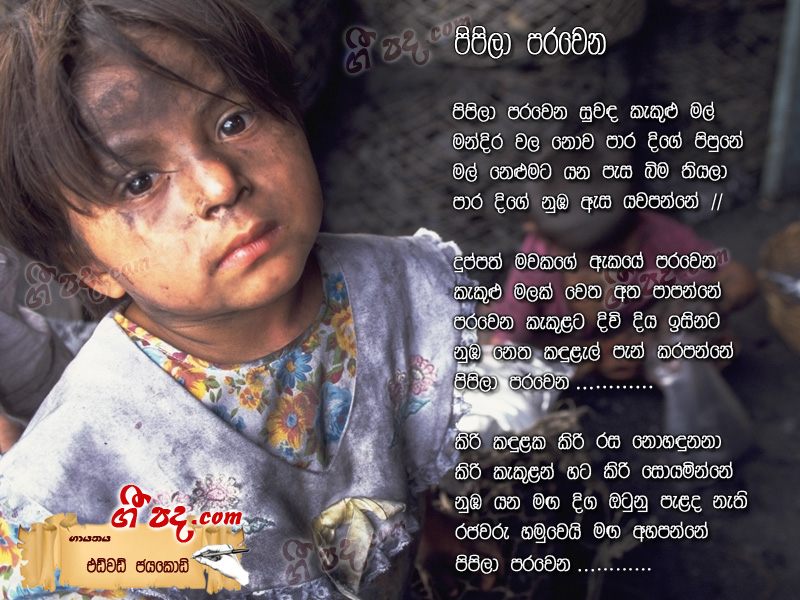Download Pipila Parawna Edward Jayakodi lyrics